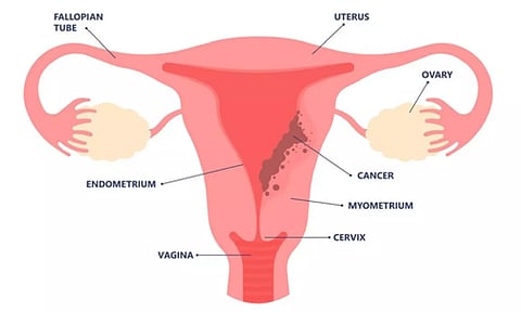 Representative Image (Photo: IANS)