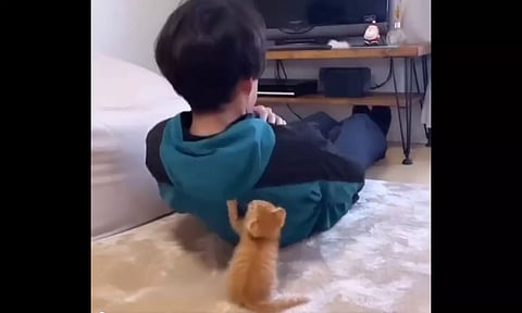 Screengrab from the video (X/@Buitengebieden)