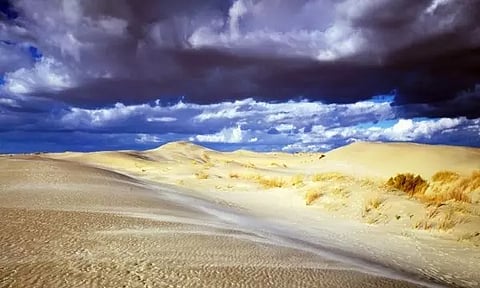 Representative image (Photo: ANI)