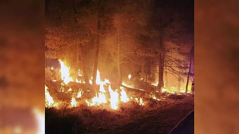 Representative Image