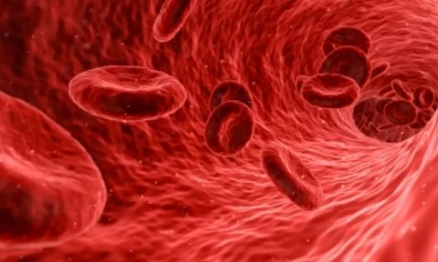 Red blood cells exposed to oxygen deficiency protect against heart attack