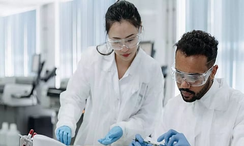 Representative Image (ANI)