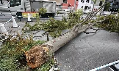 Representative image.