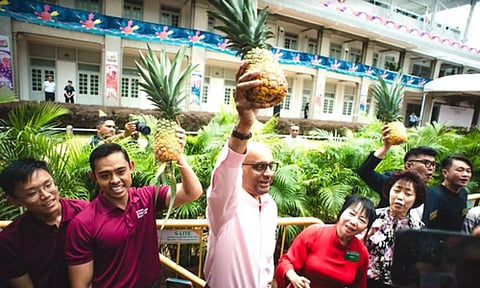 Sales of pineapples soar in Singapore after Tharman's poll victory