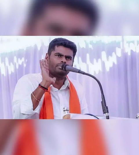 TN BJP president K Annamalai (File)