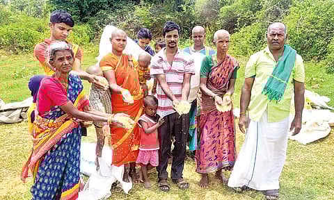 Farmers showing damaged paddy after the elephant went on rampage in Kadirkulam village near Gudiyattam