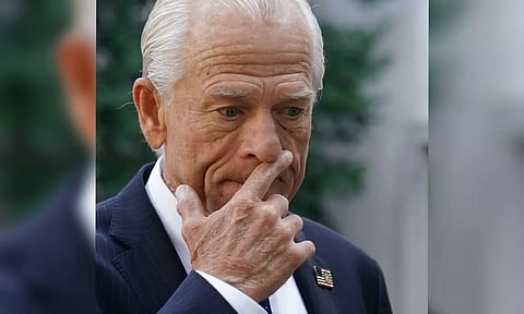 Peter Navarro (Photo: Reuters)