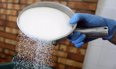 Govt extends curbs on sugar exports