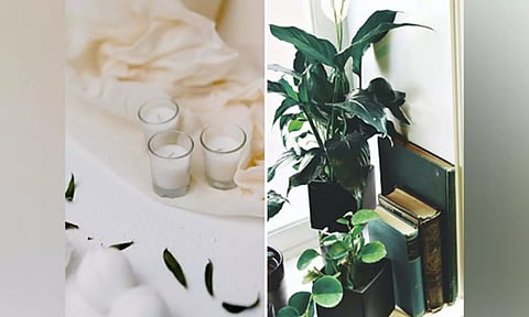 Simple ways to make your house smell great and fresh