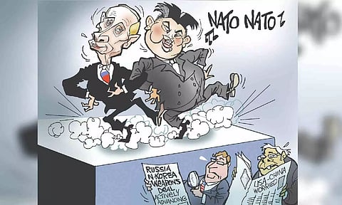 Toons and Infographics