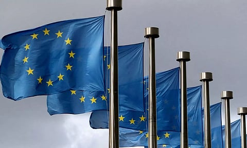 Beijing blasts 'protectionist' EU probe, German industry wary