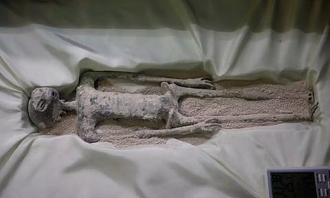 &nbsp;A tiny body of a specimen