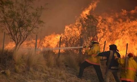 Representative image