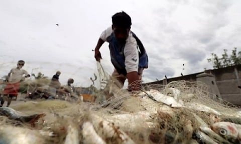 Representative image (IANS)