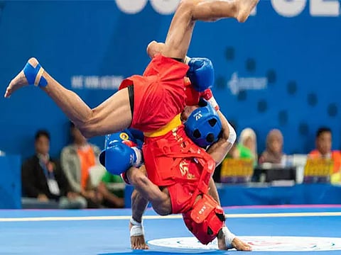 Representative image (ANI)