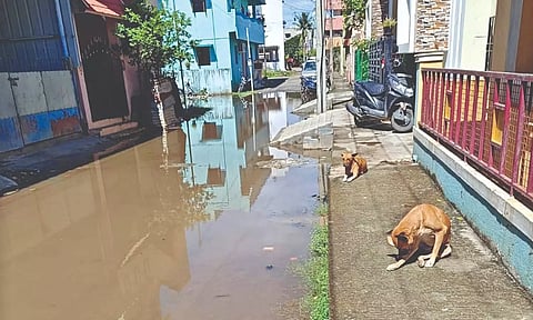 Sewage mixed with rainwater stinks up the neighbourhood