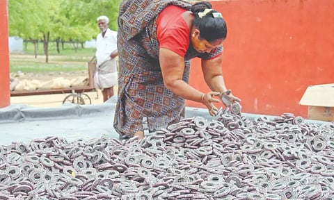 A woman engaged in the making of crackers in Sivakasi