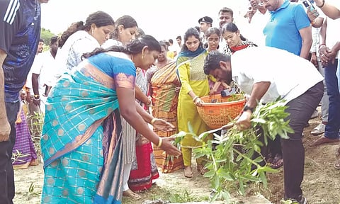 BJP state president K Annamalai and party workers cleaning a lake bund as part of a cleanliness drive in Coimbatore on Sunday