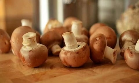 Representative Image (Image: ANI)