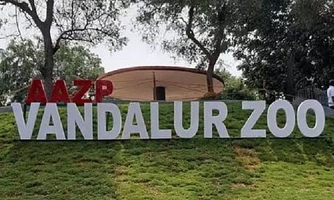 Vandalur Zoo