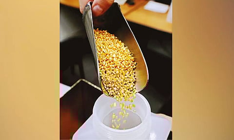 Representative Image