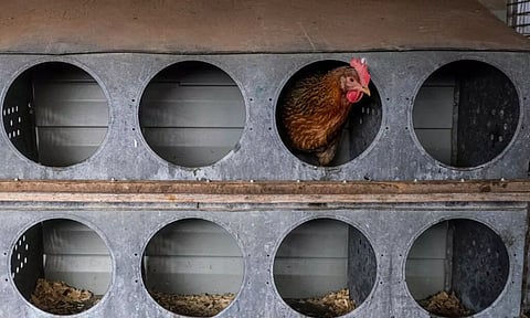 Representative Image