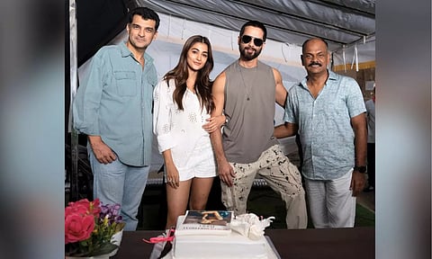 Pooja Hegde Joins Shahid Kapoor in Rosshan Andrrews' Upcoming Action Thriller