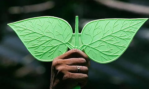 Representative image (File)