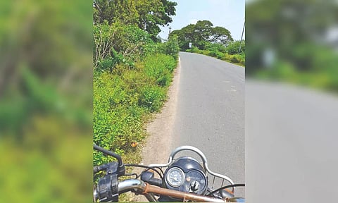 Overgrown bushes hide open stormwater drain on the side of the Kakkalur-Tiruvallur Theradi Road.
