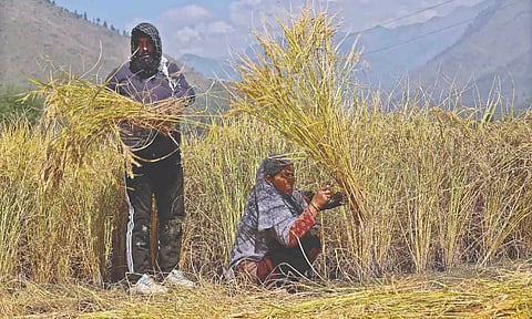 Representative image (File)