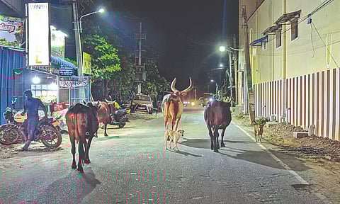 Representative image (File)