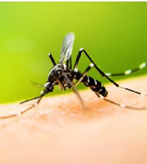 Representative Image