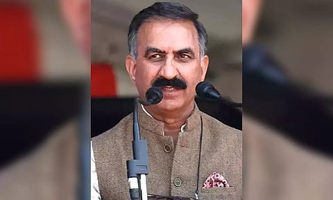 Himachal lifts ban on export of safeda, bamboo