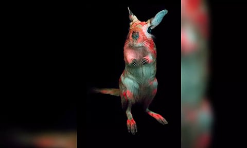 Representative image