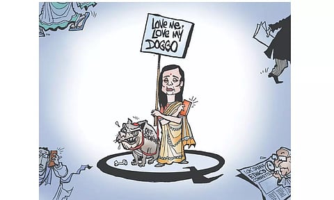 Toon of the day