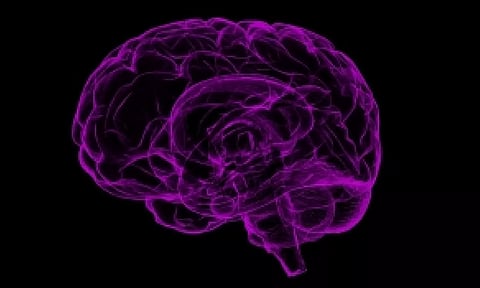 Representative Image (IANS)