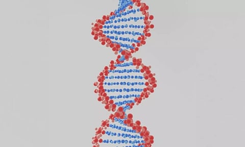 Representative Image (Image: IANS)