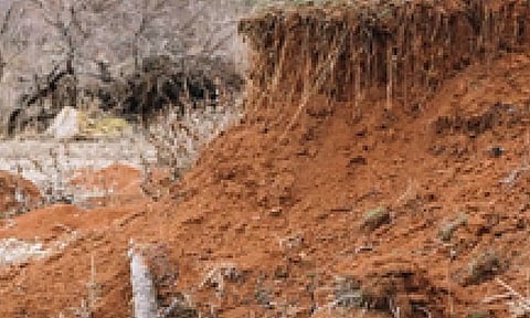 Representative Image (IANS)