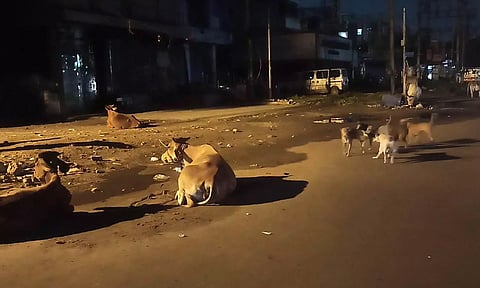 Representative Image