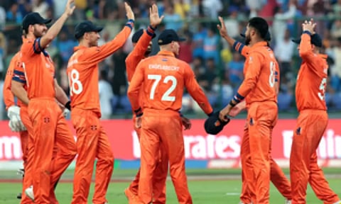 Netherlands cricket players