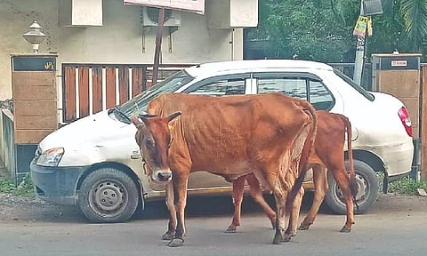 Representative Image&nbsp;