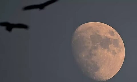 Representative image. (AFP)