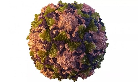 Representative image (Photo: IANS)