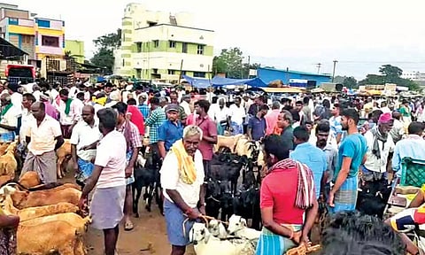 Huge crowd seen at Samayapuram goat market in Tiruchy on Saturday