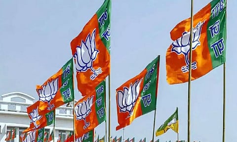 Representative Image (ANI)