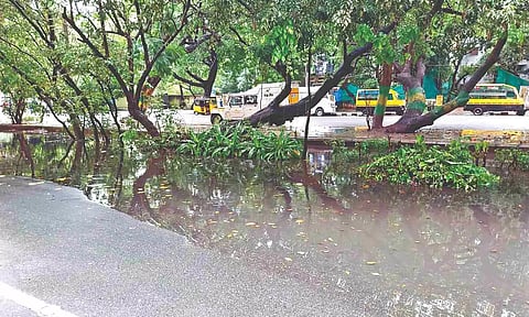 Rain water mixed with sewage has been inundating Indira Nagar