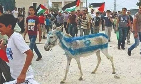 Screengrab of viral video