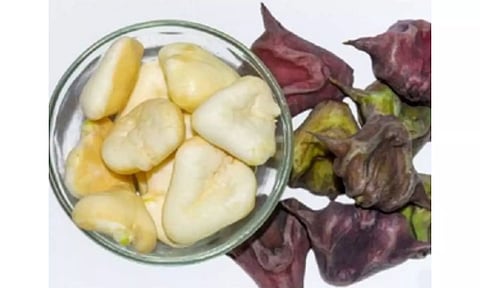 Water chestnuts from Varanasi set to hit Dubai markets