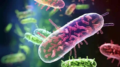 Representative Image&nbsp;