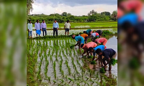 Officials inspecting a field in Ranipet on Monday